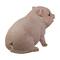 12.5" Realistic Pink Piglet Outdoor Garden Statue
